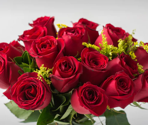 Buquê de Rosas Vermelhas 20 Unidades - Image 3