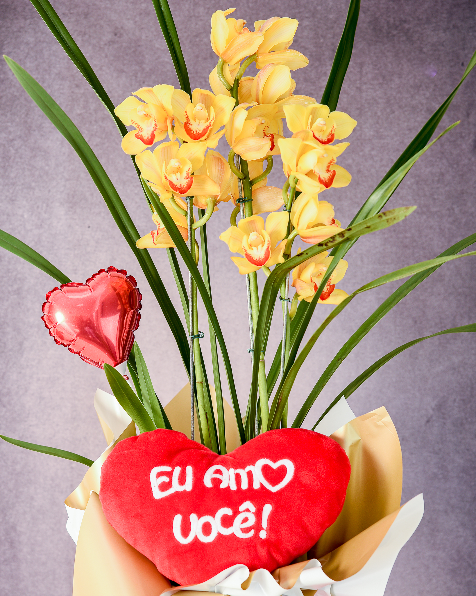 Orquídea Raio de Sol - Image 2